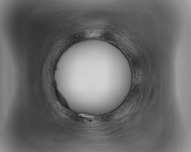 X0000110321441200905211156