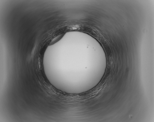 X0000110321442200905211156