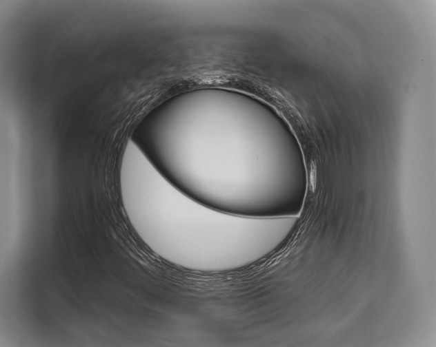 X0000110321444200905211156