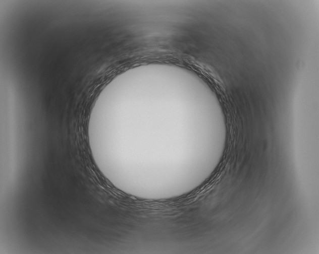 X0000110321445200905211156