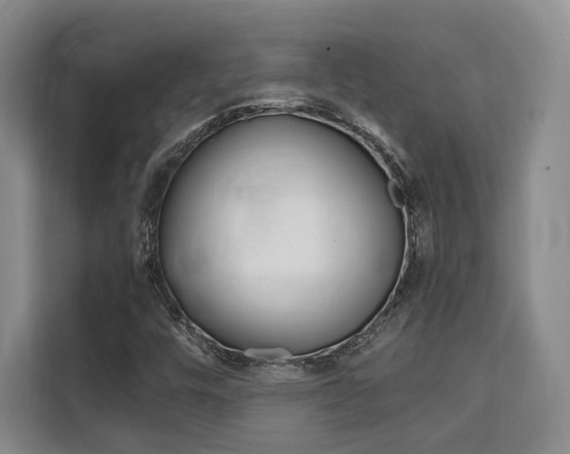 X0000110321448200905211156