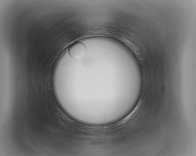 X0000110321449200905211156