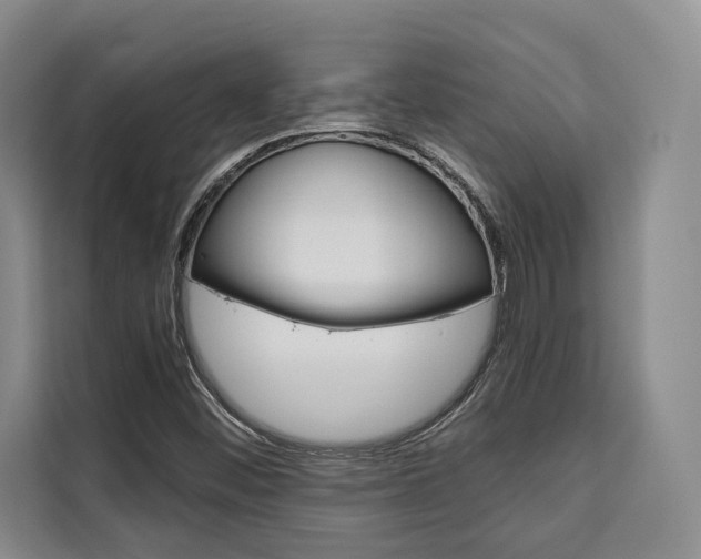 X0000110321452200905211156