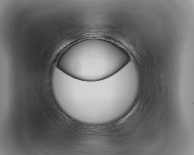 X0000110321453200905211156