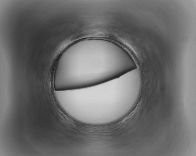 X0000110321455200905211156
