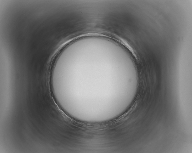 X0000110321456200905211156