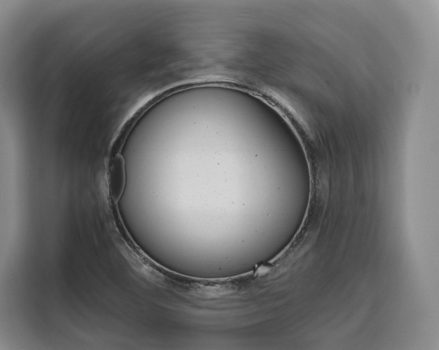 X0000110321460200905211156