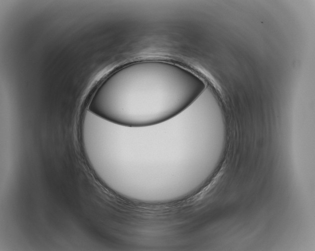 X0000110321461200905211156