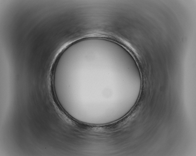 X0000110321463200905211156