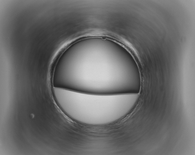 X0000110321464200905211155