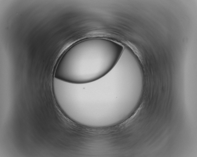 X0000110321465200905211155