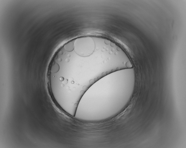 X0000110321471200905211155