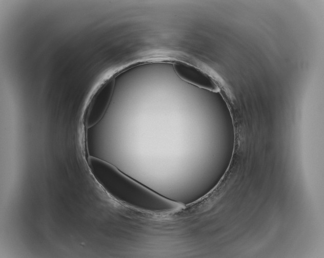 X0000110321472200905211155