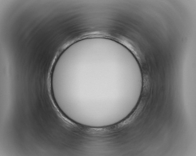 X0000110321474200905211155