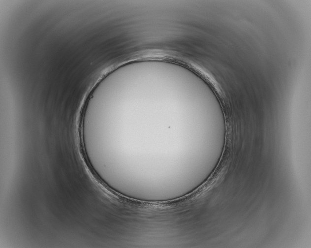 X0000110321475200905211155