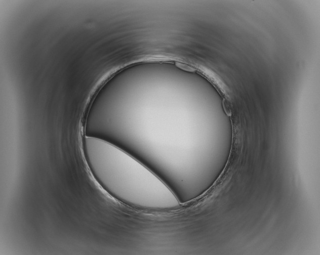 X0000110321476200905211155