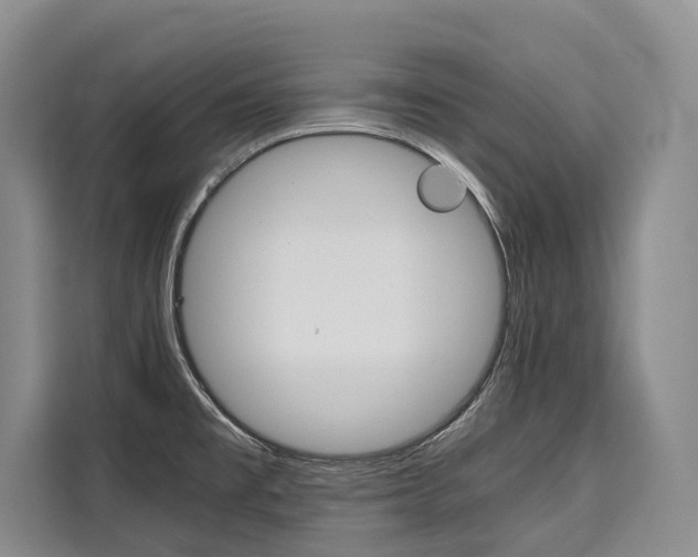 X0000110321477200905211155