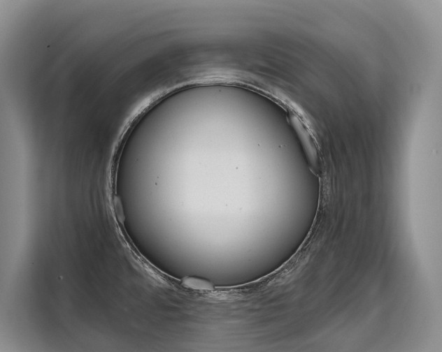 X0000110321480200905211155