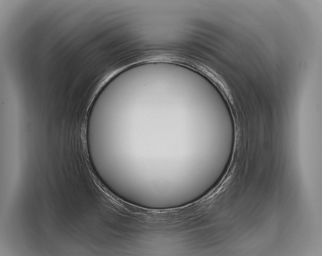 X0000110321481200905211155