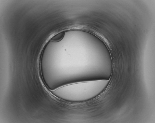 X0000110321483200905211155