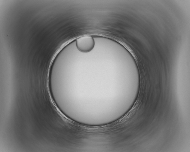 X0000110321485200905211155