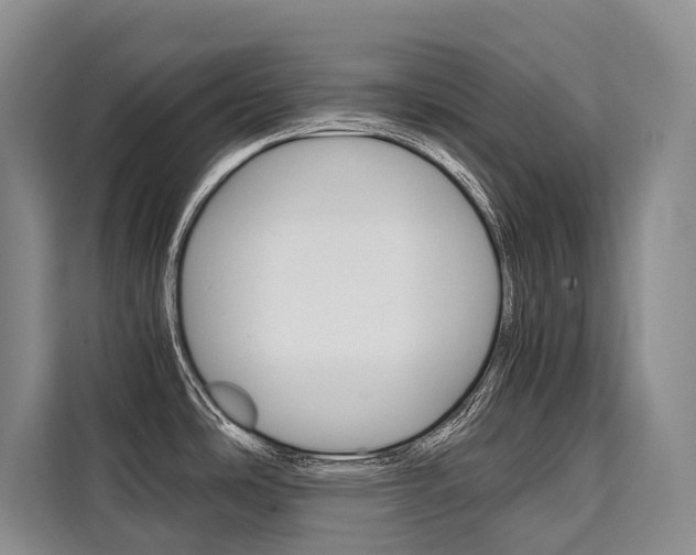 X0000110321486200905211155