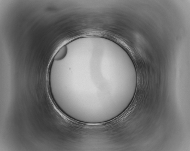 X0000110321487200905211155