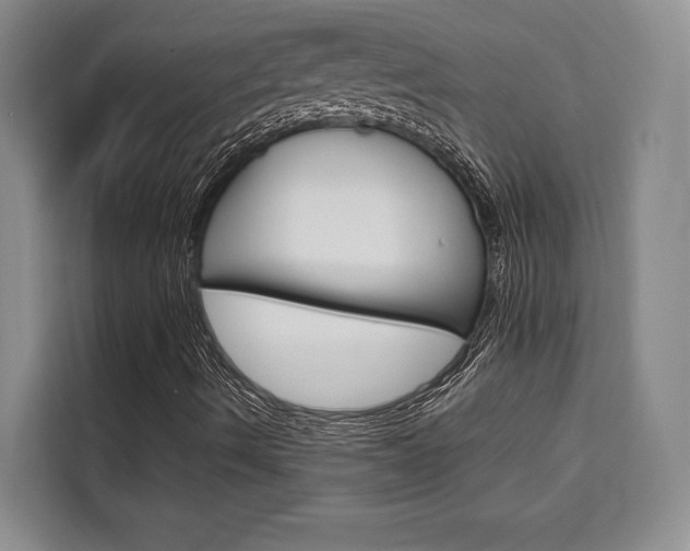 X0000110321490200905211154