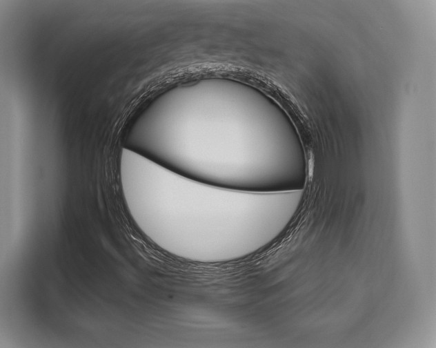 X0000110321492200905211154