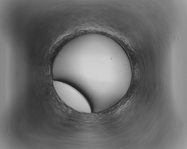 X0000110321494200905211154