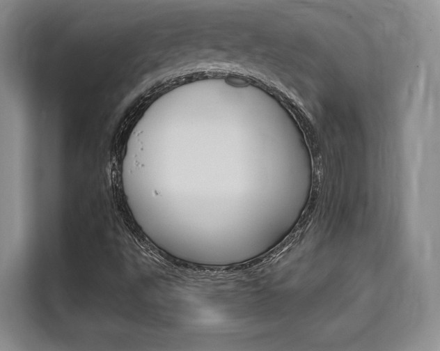 X0000110321495200905211154