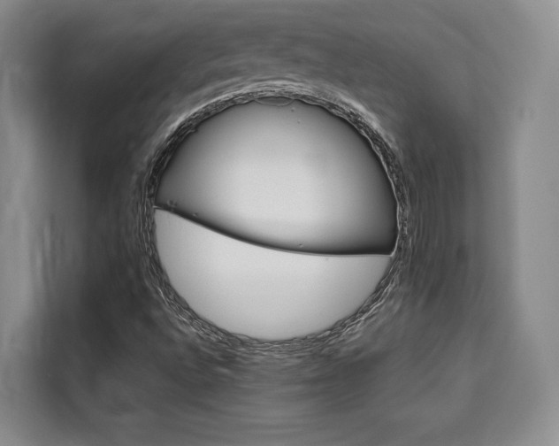 X0000110321496200905211154