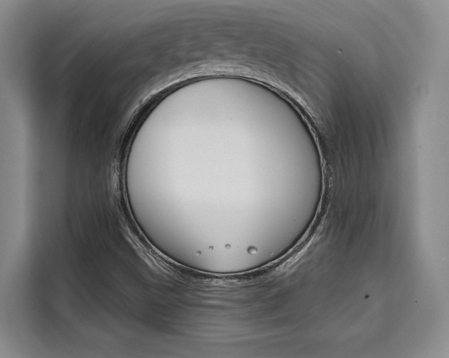 X0000110321499200905211155