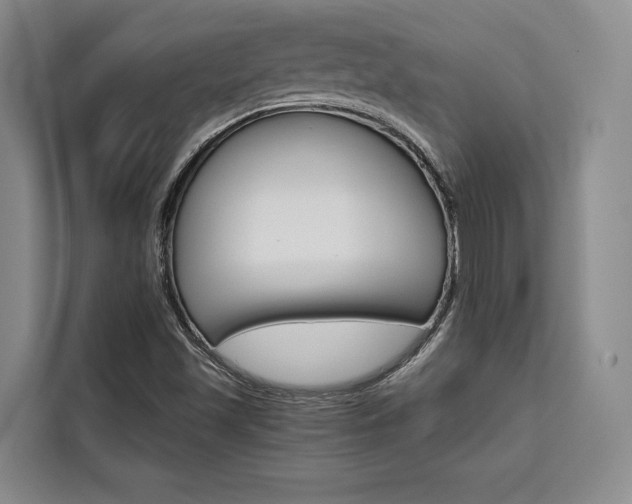 X0000110321501200905211155