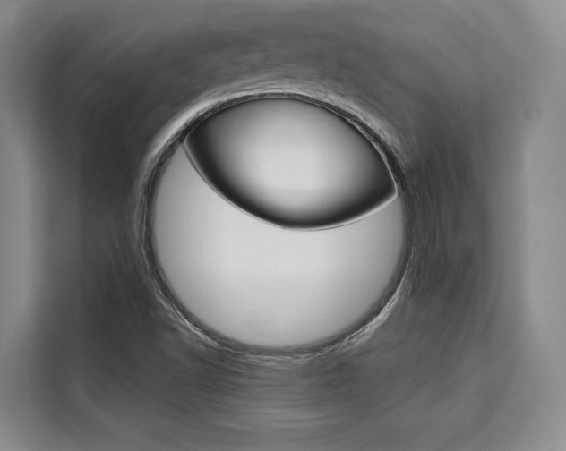 X0000110321502200905211155
