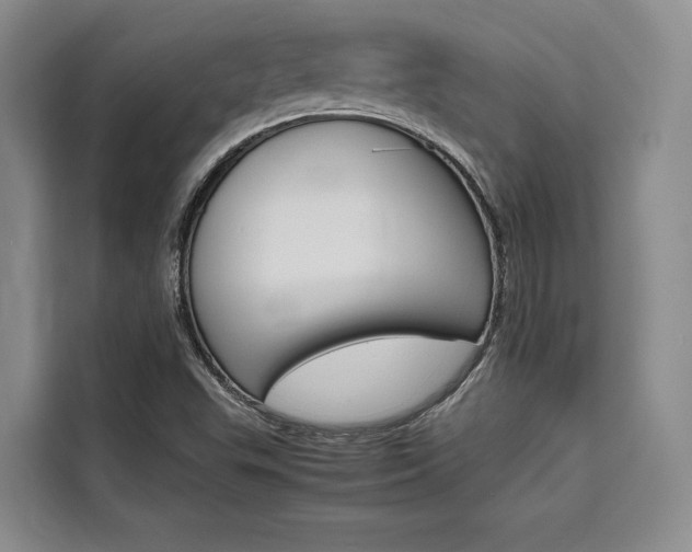 X0000110321503200905211155