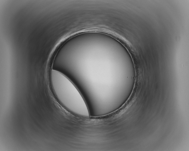 X0000110321506200905211155