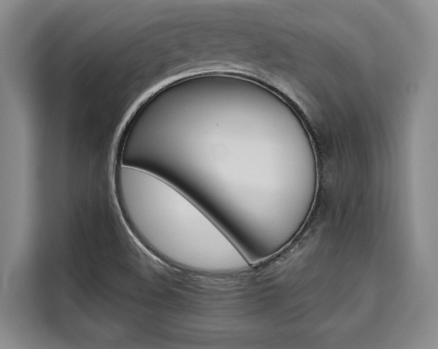 X0000110321508200905211155