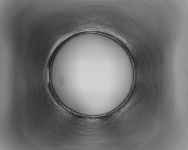 X0000110321509200905211155