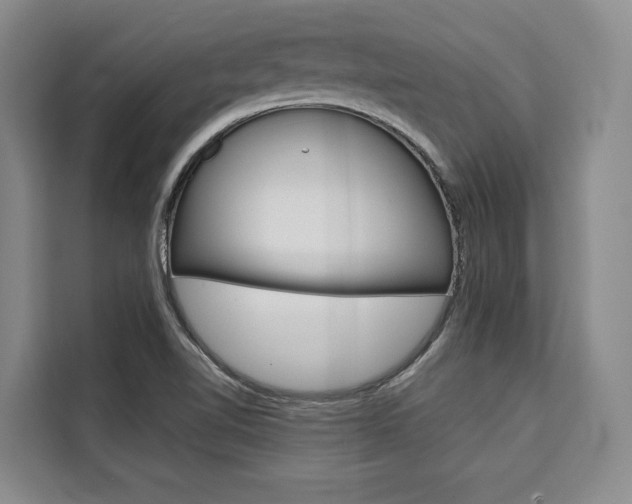 X0000110321510200905211155