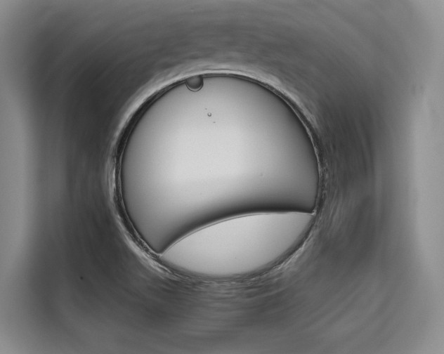 X0000110321511200905211155