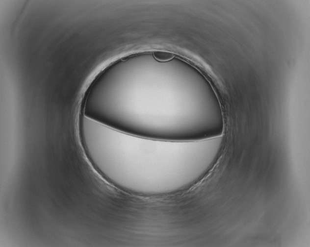 X0000110321512200905211155