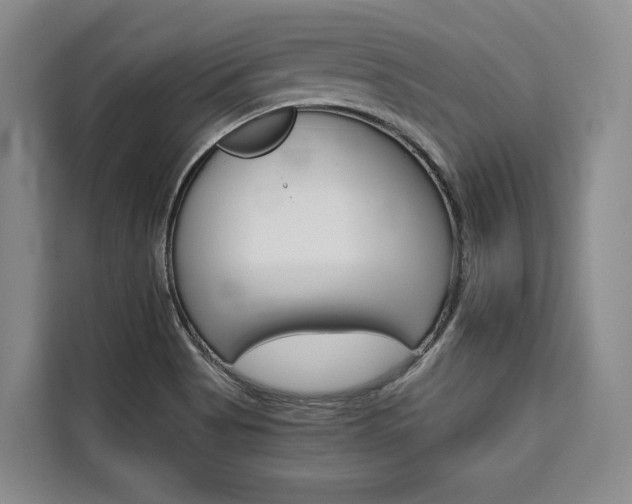 X0000110321513200905211155