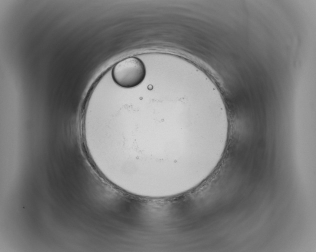 X0000110321514200905211155