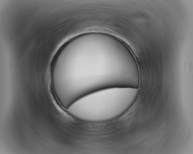X0000110321515200905211155