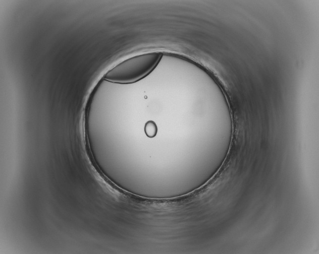 X0000110321516200905211155