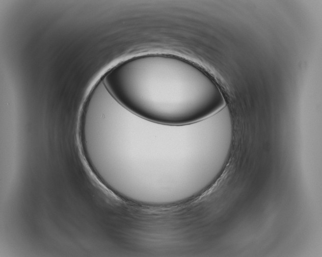 X0000110321518200905211155