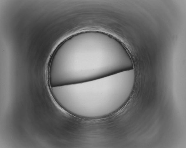X0000110321519200905211155
