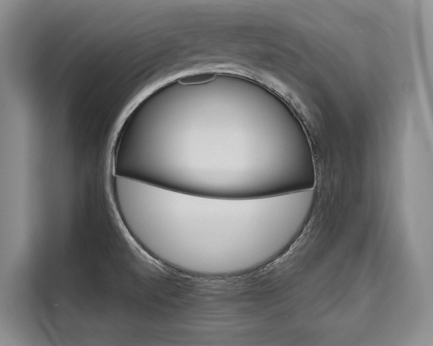 X0000110321520200905211155