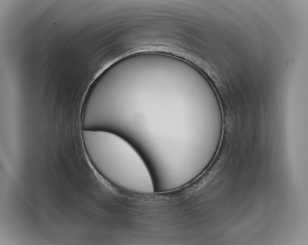 X0000110321521200905211155